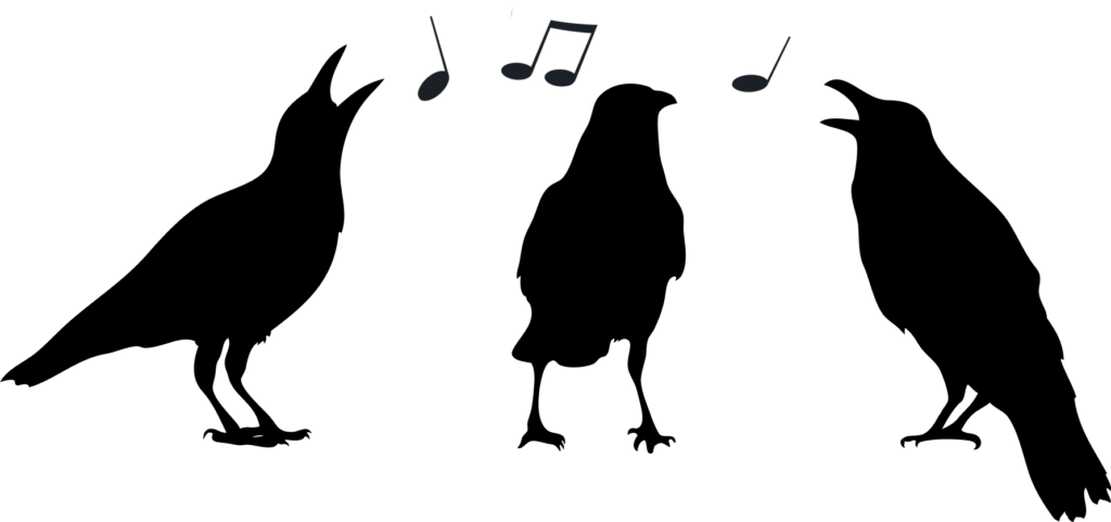 Silhouette of three crows singing with music notes in the air